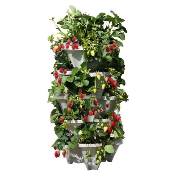 PLS5 Set of 5 Strawberry Planters – Includes Mobile Tray