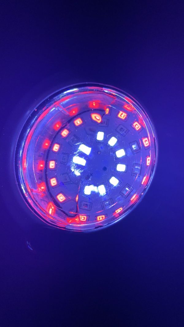 Submersible Fountain Light with 42 LED