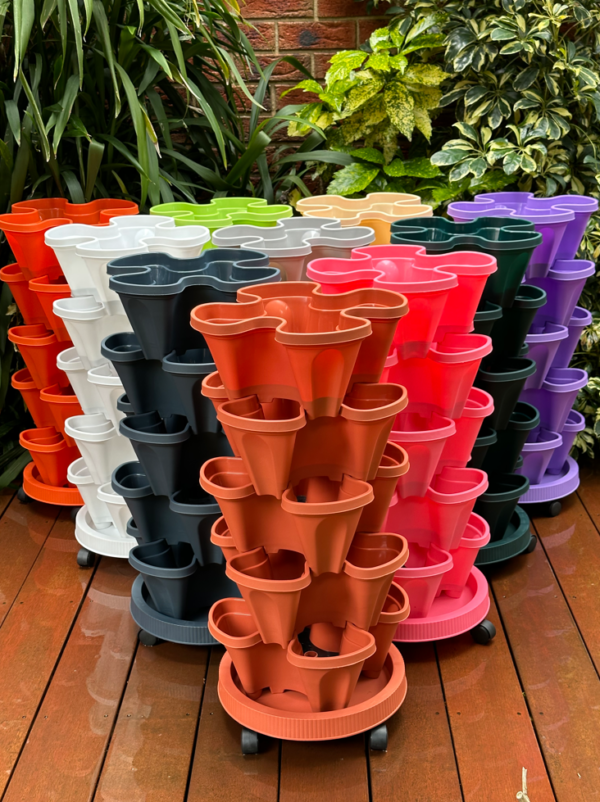 Colourful PLS5 Set of 5 Strawberry Planters – Includes Mobile Tray