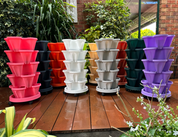 Colourful PLS5 Set of 5 Strawberry Planters – Includes Mobile Tray