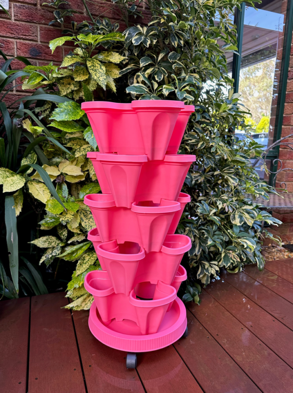 PLS5 Set of 5 Strawberry Planters – Includes Mobile Tray