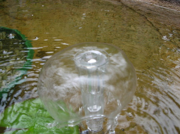 Small Fountain Head